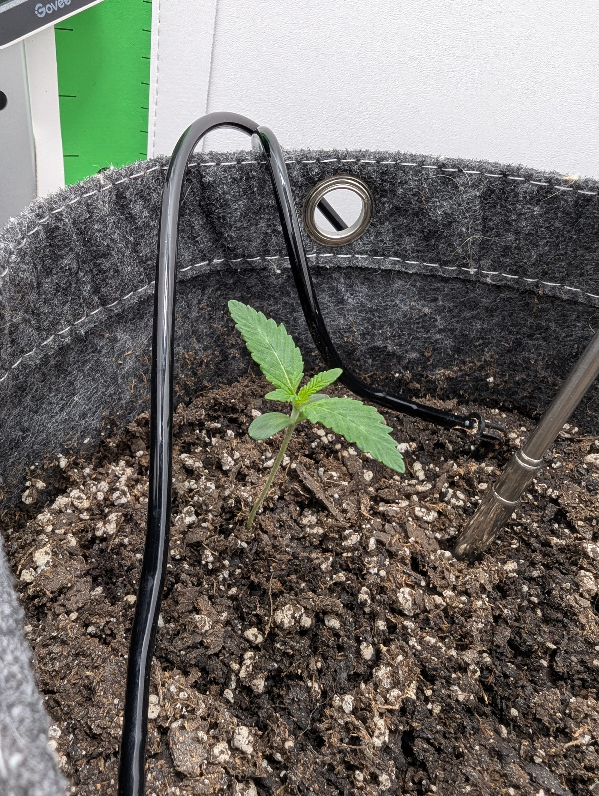 A recap to bring you all up to speed